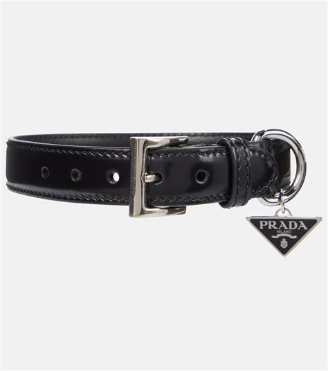 prada dog collar dupe|designer female dog collars.